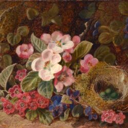 George Clare Spring Blossoms and Bird's Nest
