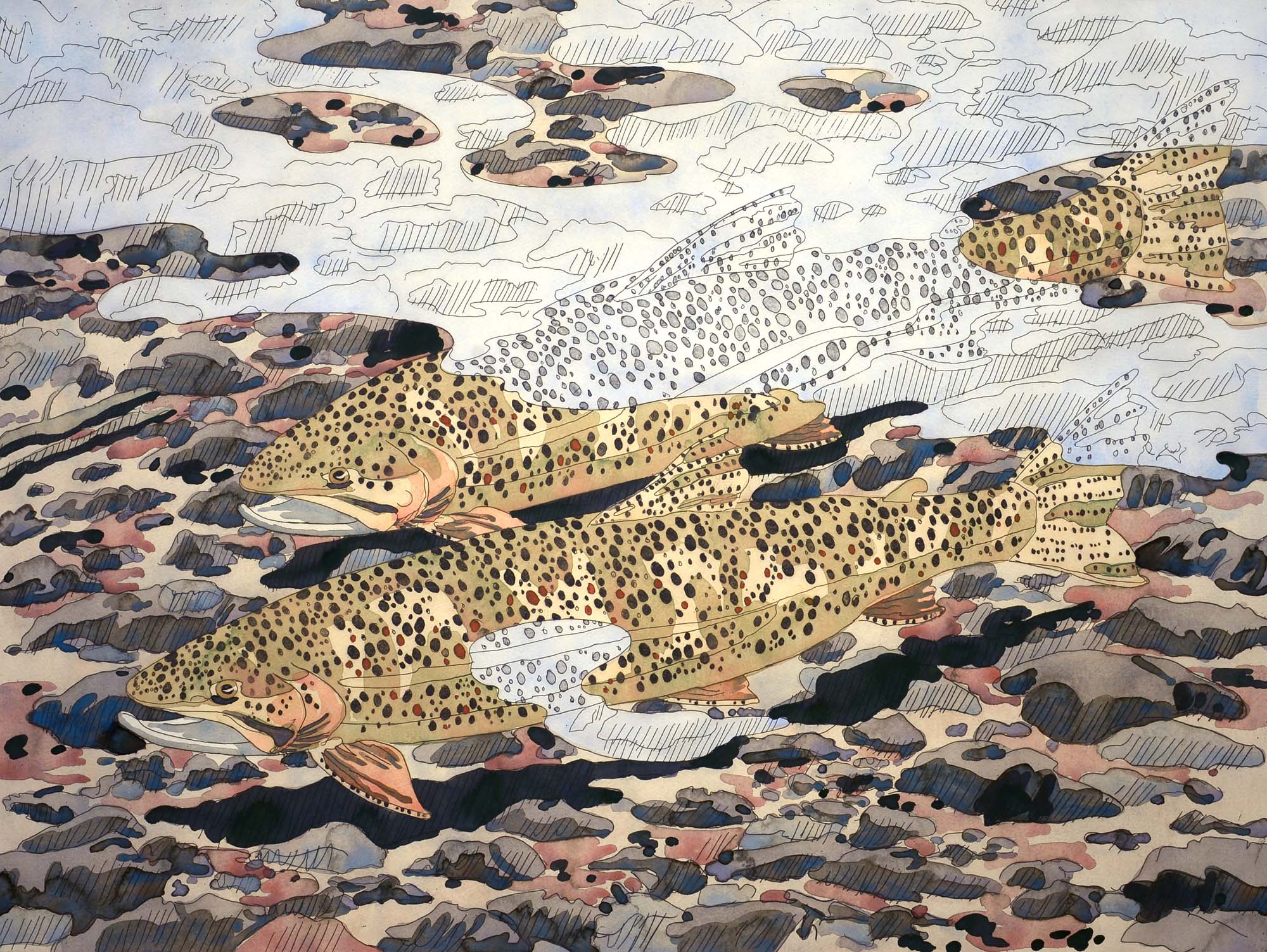 Neil Welliver Trout and Reflections